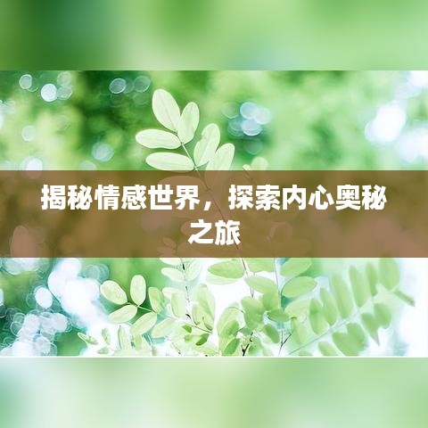 揭秘情感世界，探索内心奥秘之旅