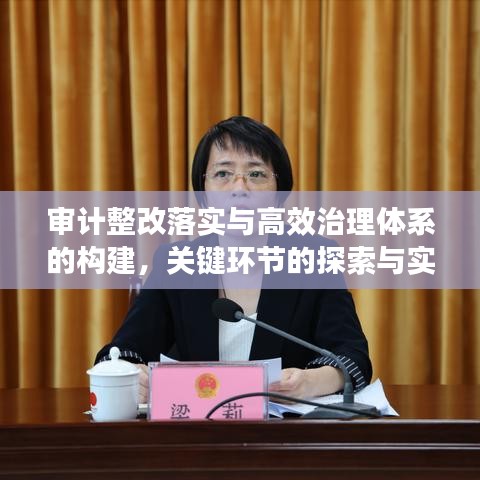 审计整改落实与高效治理体系的构建，关键环节的探索与实践