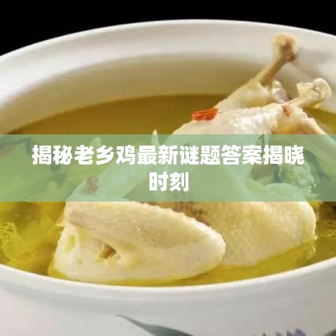揭秘老乡鸡最新谜题答案揭晓时刻