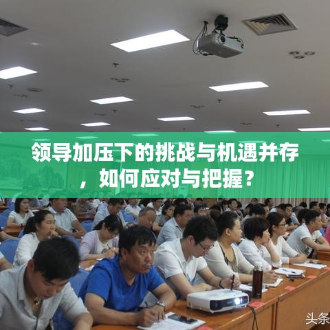 领导加压下的挑战与机遇并存，如何应对与把握？