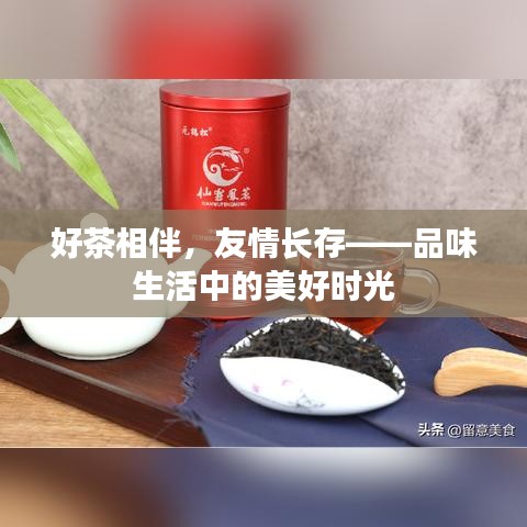 好茶相伴，友情长存——品味生活中的美好时光