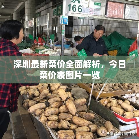 深圳最新菜价全面解析，今日菜价表图片一览