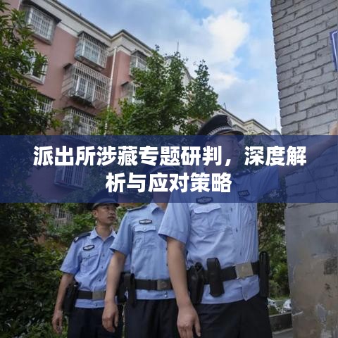 派出所涉藏专题研判，深度解析与应对策略