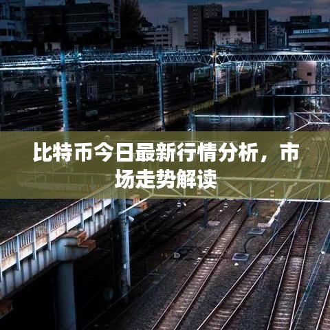 比特币今日最新行情分析，市场走势解读